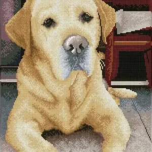 DIAMOND DOTZ® Carré Portrait de labrador Tendance