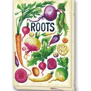 Expédié Aujourd’hui DOTZ® BOX Adultes – Légumes d’antan