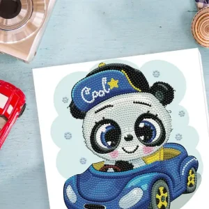 Exclusif DOTZ® BOX Enfants – le Koala et son bolide