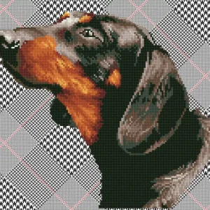 Kit DIAMOND DOTZ® Chien Dachsie Dernier Modèle